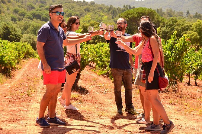 Arrabida and Sesimbra Small-Group Day Trip from Lisbon with Wine Tasting - Quinta do Alcube, a different kind of winery visit