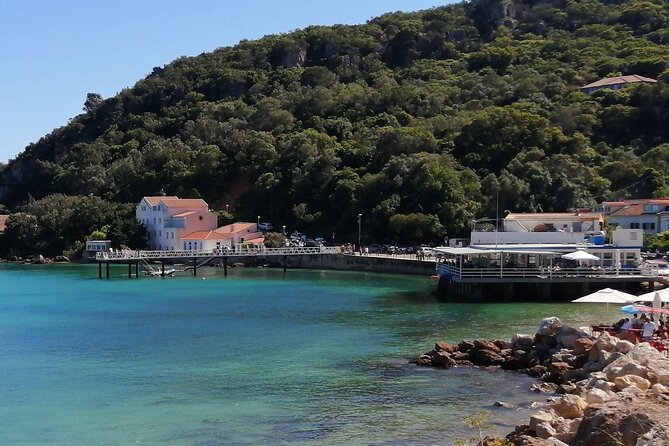 Arrábida: Beach, Nature & History - Forest trails with a chance of wildlife