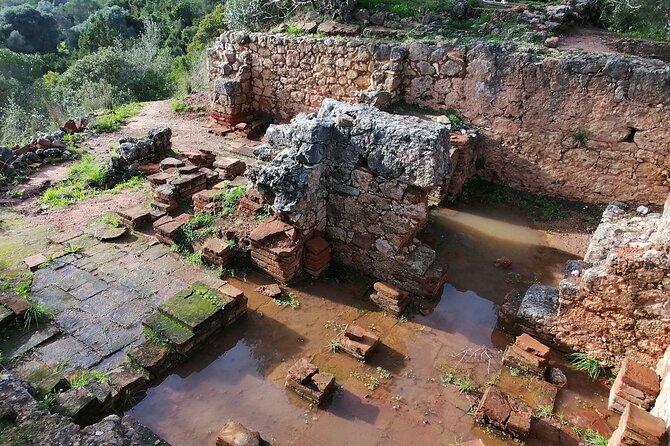 Arrábida: Beach, Nature & History - Is $81.28 good value for eight hours?
