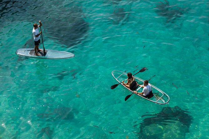 Arrábida: Guided Transparent Kayaking Tour - What the transparent kayak adds