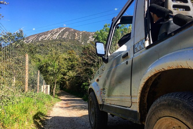 Arrabida Safari – Europe's Most Beautiful Beach & Hidden Gems - Arrábida National Park, one hour among cork trees and vineyards