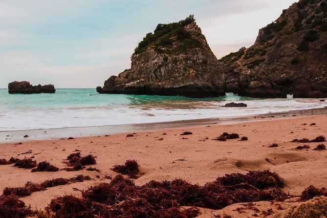 Arrábida Secret Beaches and Caves with Snorkeling Stop - Who will enjoy this most