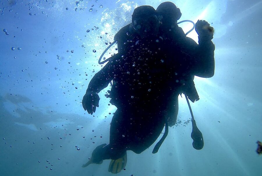 Arrábida - Sesimbra: Eco-Friendly Beginner's Scuba Diving - Why Arrábida is a good place to start