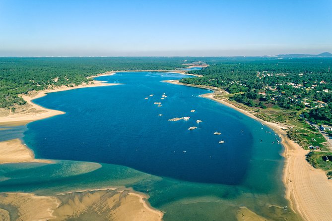 Arrabida Wine Tour from Lisbon: Wineries, Tastings & Tile Factory - Why This Day Trip Works From Lisbon