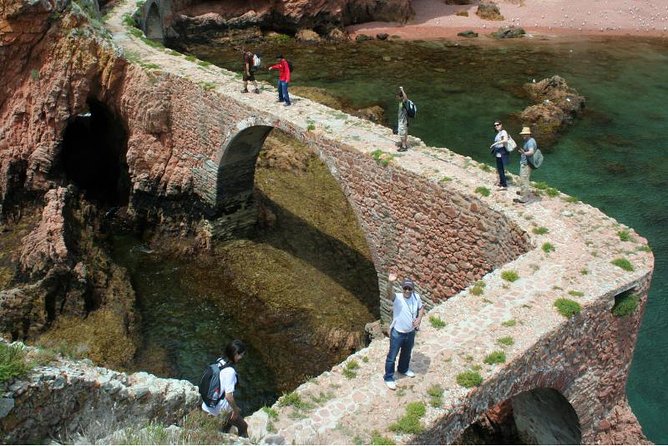 Berlenga Island Small-Group Day Trip from Lisbon - Who should book this island outing