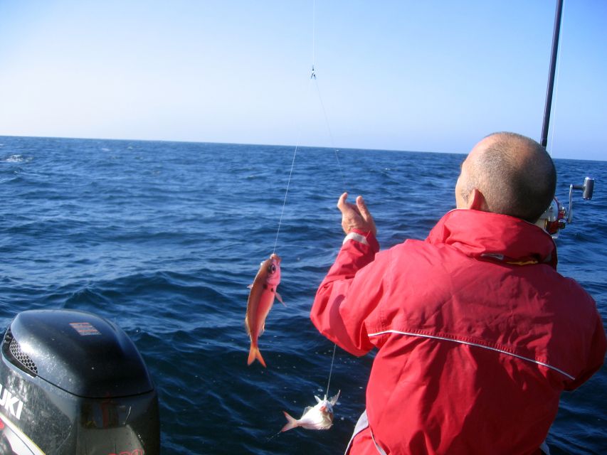 Cascais Deep-Sea Fishing Trip - Key points at a glance