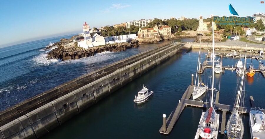 Cascais Deep-Sea Fishing Trip - What you fish for around Cascais