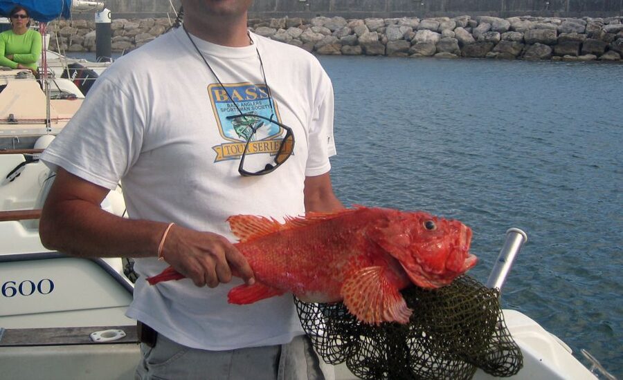 Cascais Deep-Sea Fishing Trip - Keeping, cleaning, and eating the fish