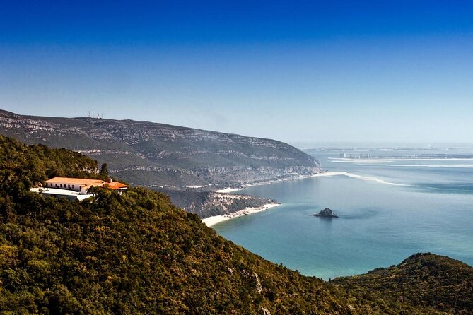 Dolphin Watching at the Arrabida (Lisbon region) - Key details before you book