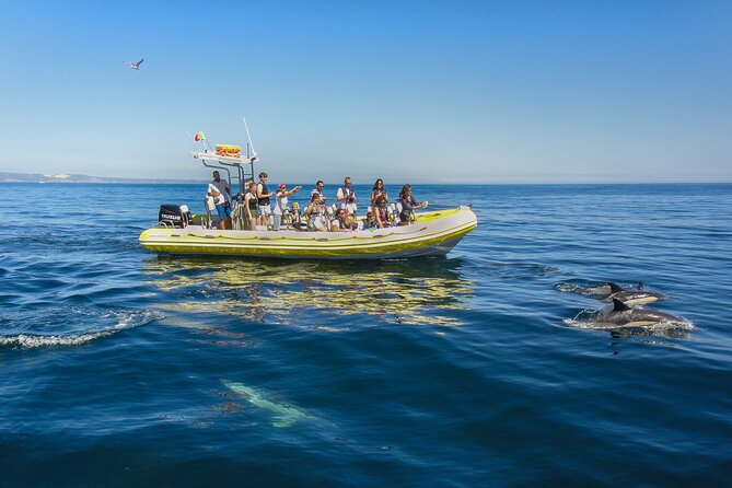 Dolphin Watching at the Arrabida (Lisbon region) - Is $60.07 a fair price?