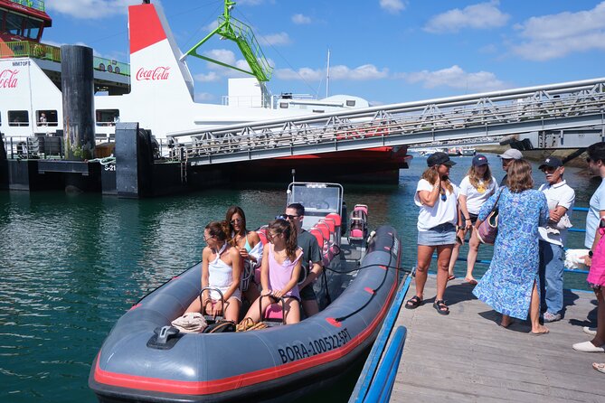 Dolphin watching in Setúbal - The Sado River and the search for dolphins
