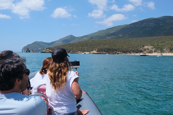 Dolphin watching in Setúbal - Guides, explanations, and respect for wildlife