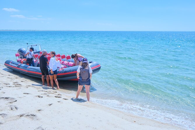 Dolphin watching in Setúbal - Is $44.76 good value?