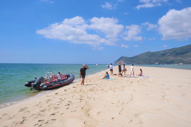 Dolphin watching in Setúbal - Who will enjoy this Setúbal outing?