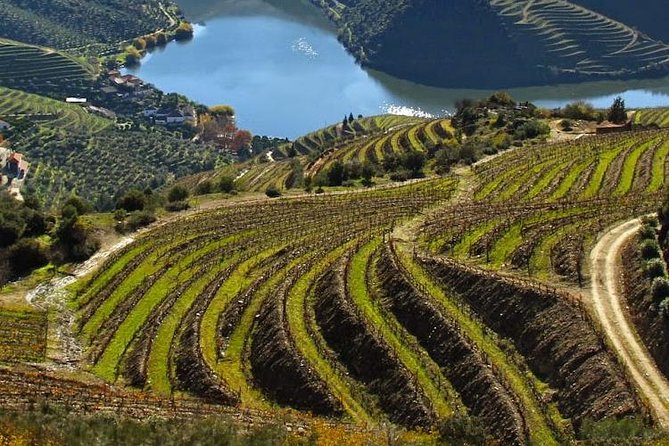 Douro Valley Private Wine Tour From Lisbon - Key points to know before booking