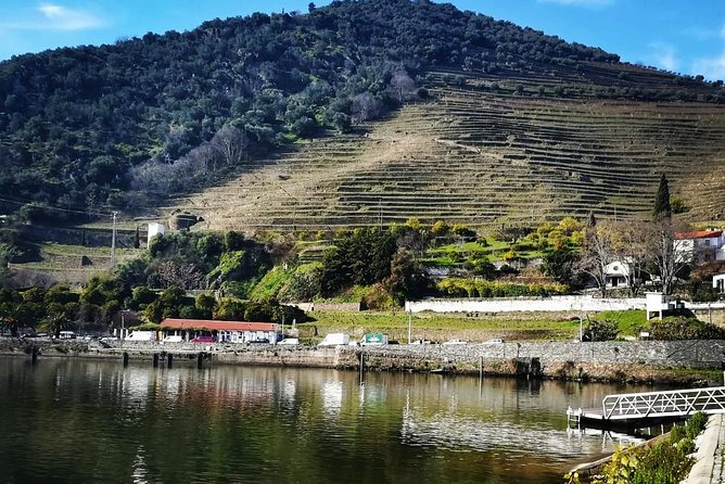 Douro Valley Private Wine Tour From Lisbon - Pinhão and the Douro River cruise