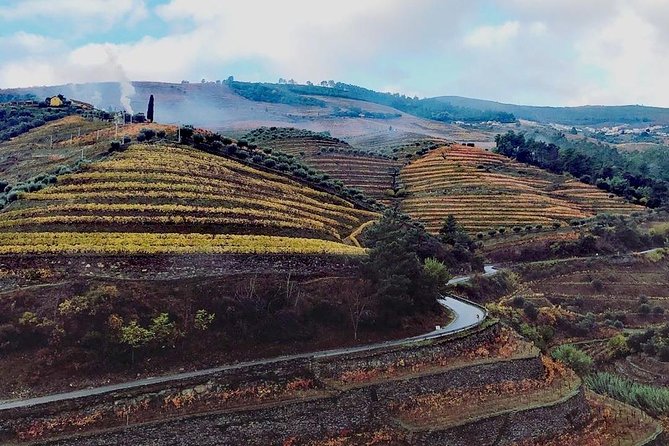 Douro Valley Private Wine Tour From Lisbon - Vineyards, table wine, port, and olive oil