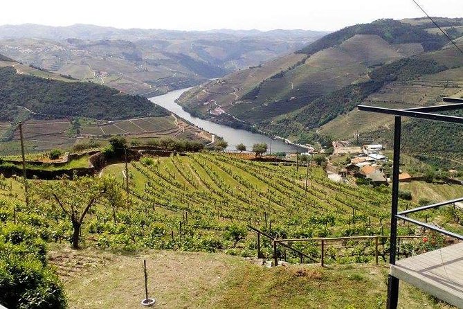 Douro Valley Private Wine Tour From Lisbon - Lunch: plan it yourself