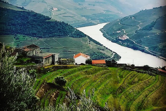 Douro Valley Private Wine Tour From Lisbon - Is $434.46 per person good value?