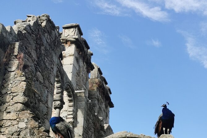 Évora: Private walking tour, By Local Guide - What the private guide changes