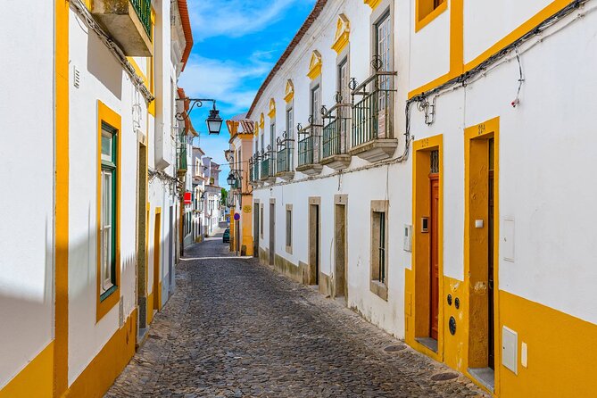 Évora: Private walking tour with tickets to main monuments - The Roman Temple and Pátio de São Miguel