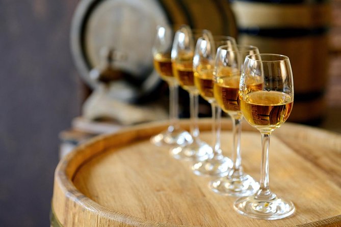 Évora Wine & Heritage Tour from Lisbon - The guide and language issue