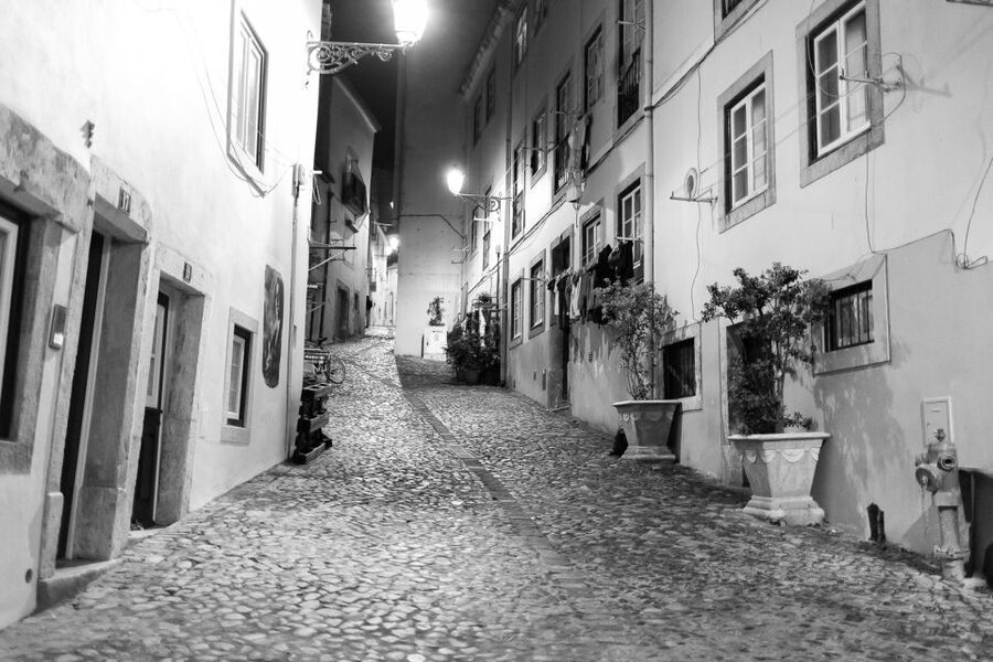 Fado: Musical Walking Tour with Food & Live Show - Is the $100 price fair?