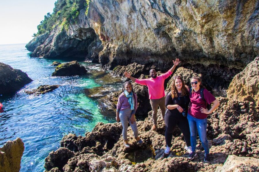 From Lisbon: Arrábida Day Tour & Wine Tasting - Praia do Creiro: seafood lunch and time beside the water