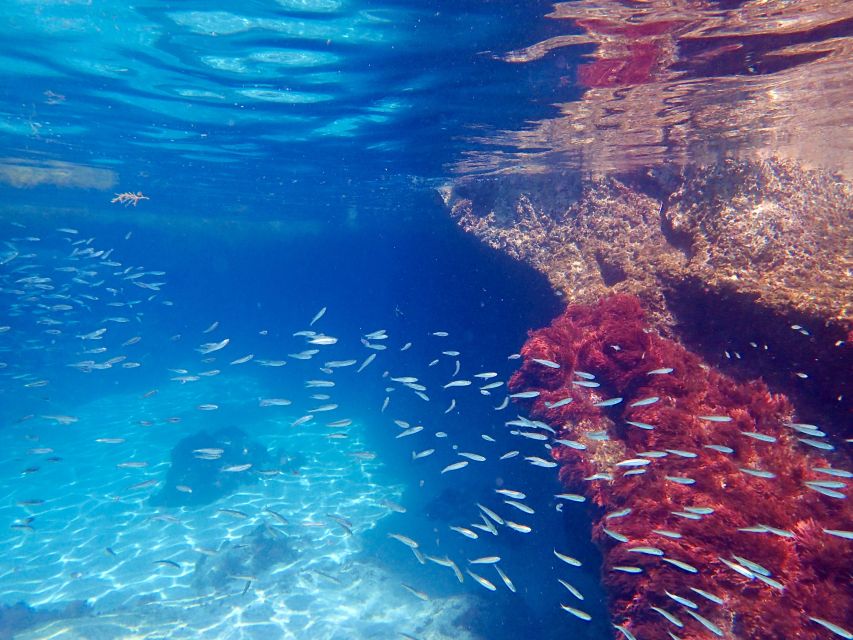 From Lisbon: Arrábida Natural Park Kayak Tour with Lunch - More than kayaking: swimming, snorkeling, and beach games
