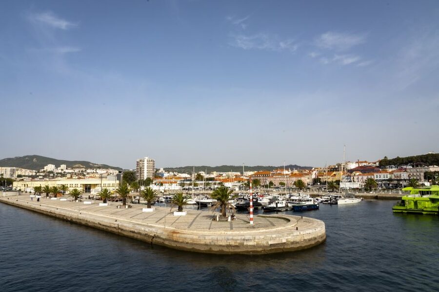 From Lisbon: Comporta and Setúbal Trip with Horseback Riding - The ride’s best views: rice fields, dunes, and Atlantic sand