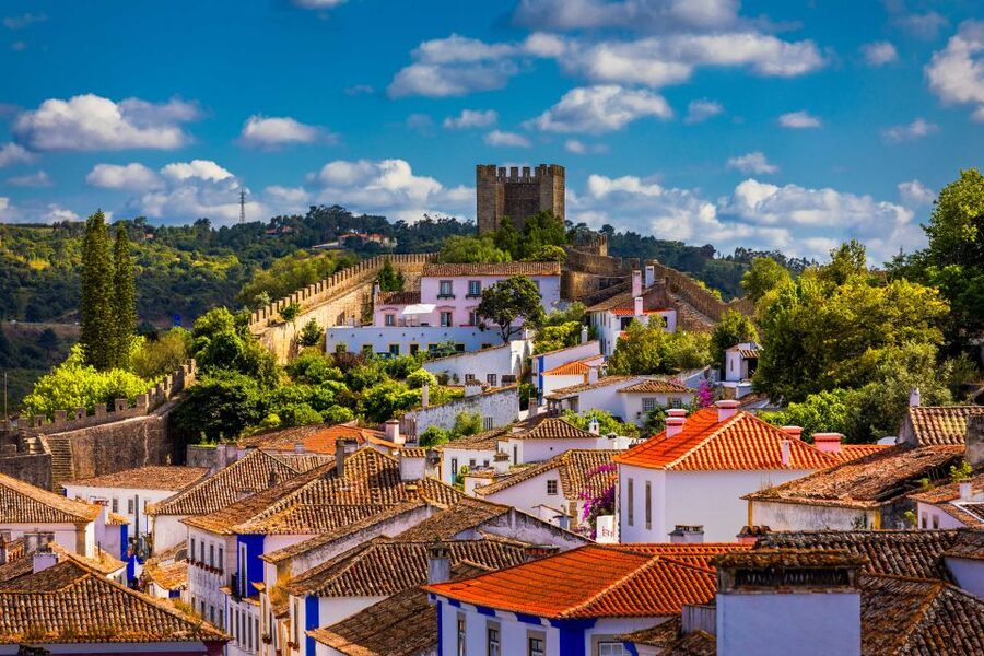 From Lisbon: Day Trip to Porto, Óbidos, and Nazaré - Porto: the main event beside the Douro