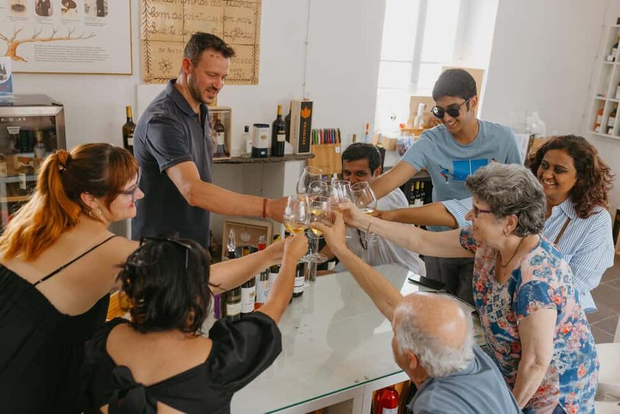 From Lisbon: Évora and Monsaraz Day Tour with Wine Tasting - Wine tasting with an Alentejo view