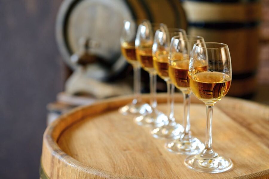 From Lisbon: Évora Wine & Heritage Tour - Why Évora makes a strong day trip from Lisbon