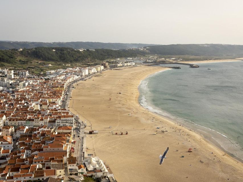 From Lisbon: Fátima, Nazaré and Sintra Guided Tour - The day at a glance
