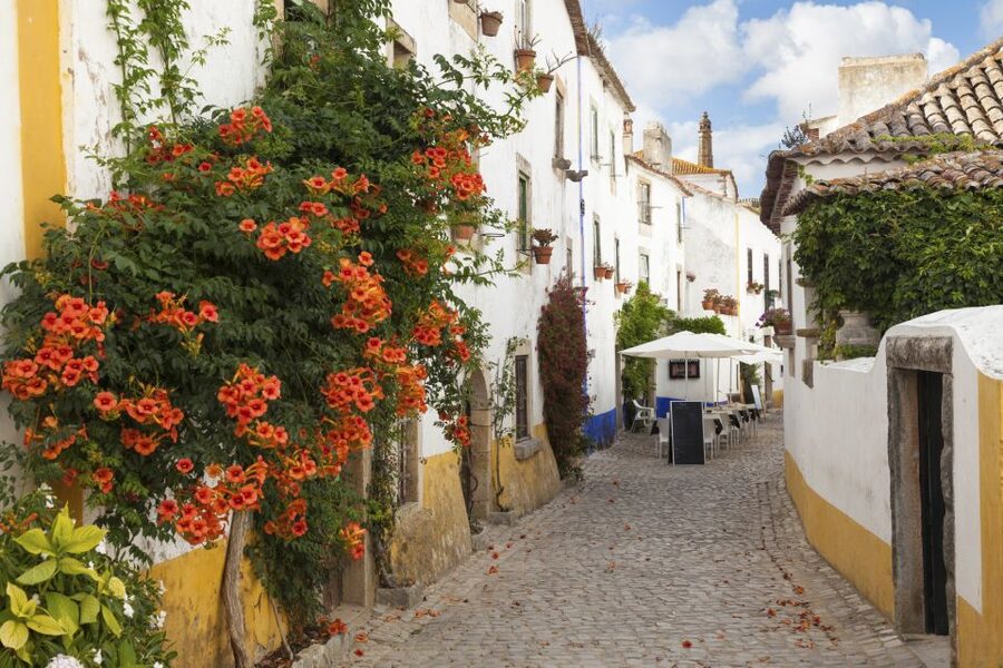 From Lisbon: Fátima, Óbidos Medieval, Nazaré Atlantic Coast - Guide quality can make or break the route