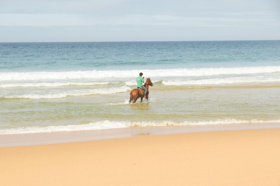 From Lisbon: Horseback Riding on Comporta Beach - From Lisbon to Comporta, the day starts on the road