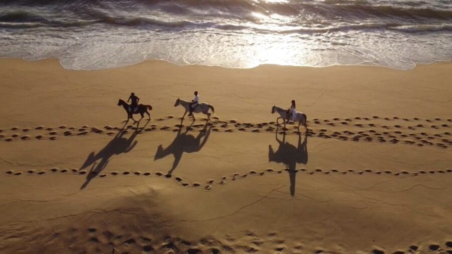 From Lisbon: Horseback Riding on Comporta Beach - Through the forest and across the dunes