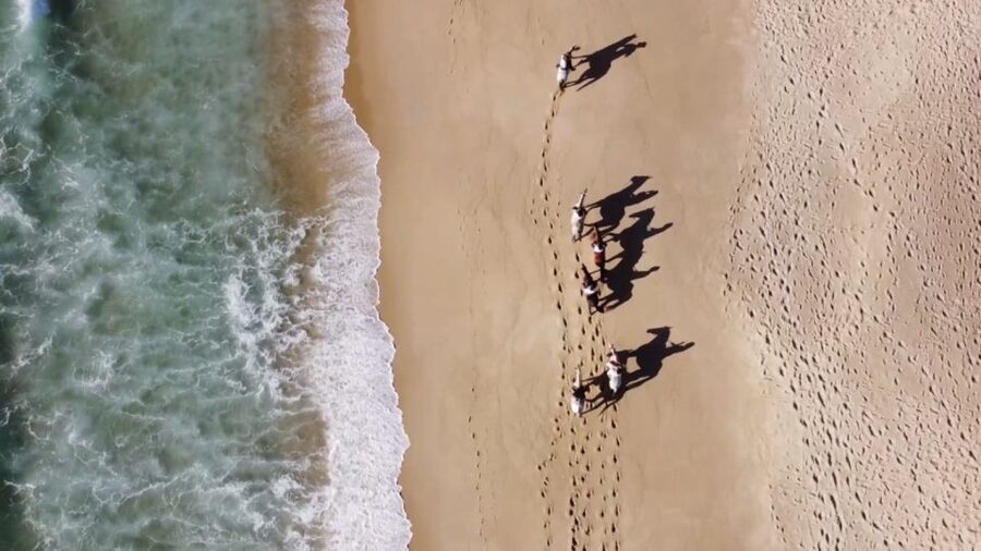 From Lisbon: Horseback Riding on Comporta Beach - The guides make the difference