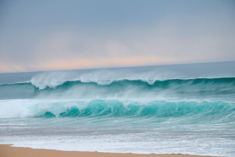 From Lisbon: Horseback Riding on Comporta Beach - Photos, videos, and the extra cost