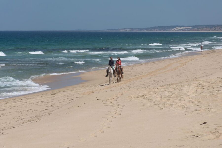 From Lisbon: Horseback Riding on Comporta Beach - Is $165 a fair price?