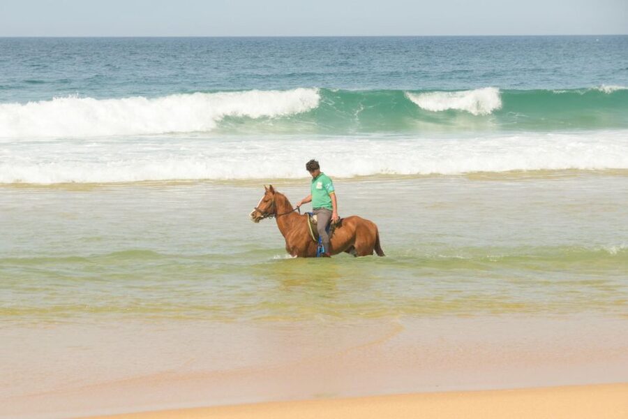 From Lisbon: Horseback Riding on Comporta Beach - Meeting the horses and getting ready