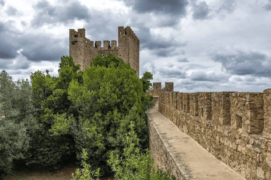 From Lisbon: Nazare Big Waves and Óbidos Guide Day Trip - What the guide adds to the day