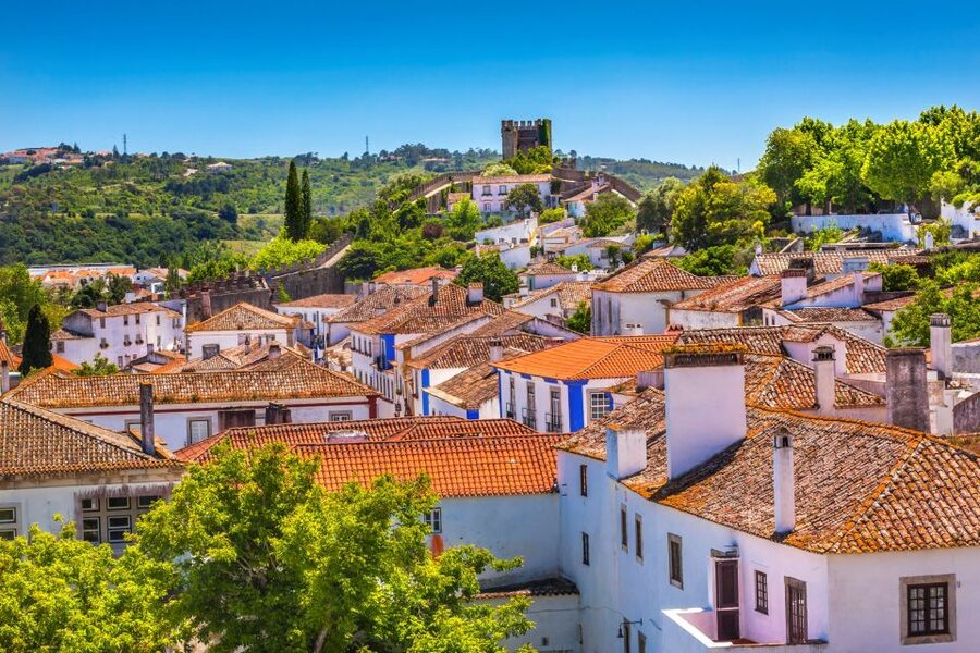 From Lisbon: Private Óbidos and Nazaré Tour - Guides who shape the experience