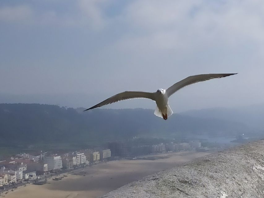 From Lisbon: Private Óbidos and Nazaré Tour - Practical details for a smoother day