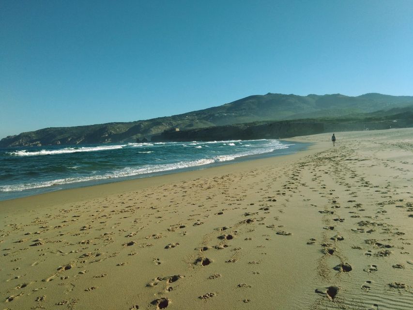 From Lisbon: Sintra and Cascais Natural Park Private Tour - Key points at a glance