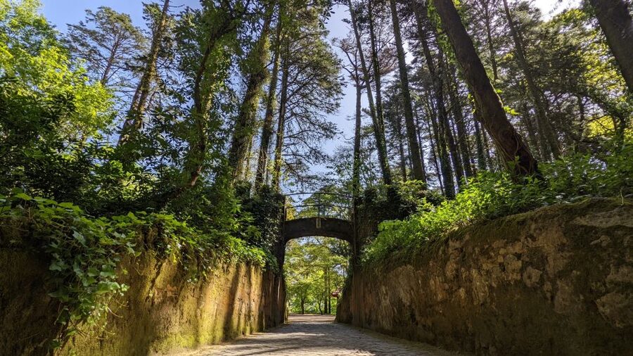 From Lisbon: Sintra Pena Palace Cascais 8-People Group Tour - Who should book this Sintra and Cascais day tour?
