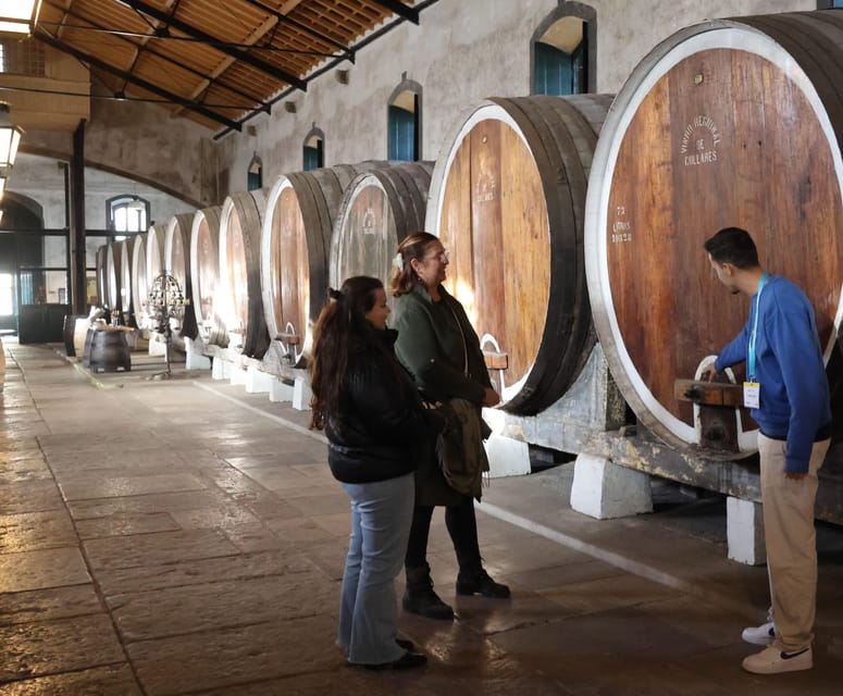 From Lisbon: Sintra, Pena Palace, Cascais and Wine Tasting - Why this Lisbon day trip works