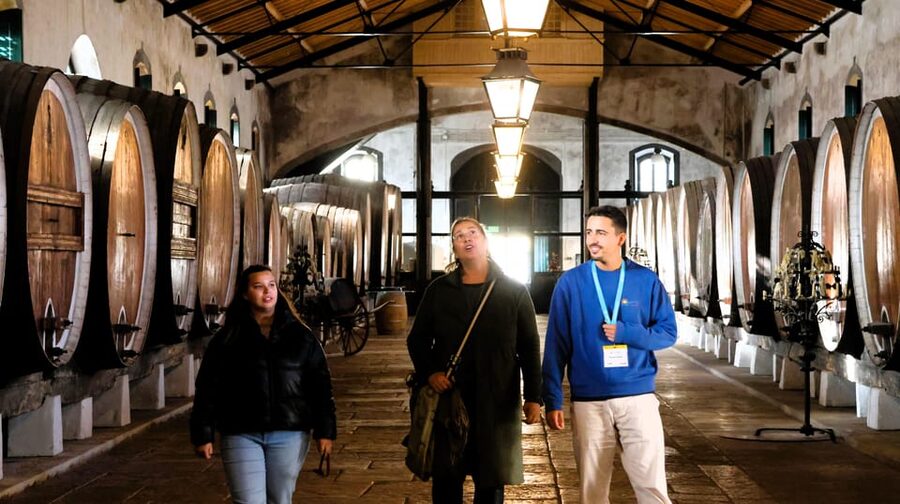 From Lisbon: Sintra, Pena Palace, Cascais and Wine Tasting - Colares wine in a working cellar
