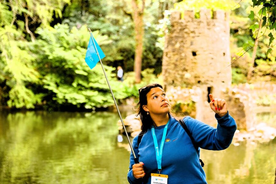 From Lisbon: Sintra, Pena Palace, Cascais and Wine Tasting - What the minivan format means