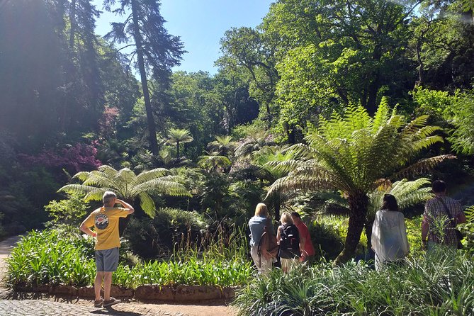 From Lisbon: Sintra's Historical and Natural Gems - The small minivan makes a real difference